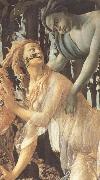 Sandro Botticelli Primavera Spain oil painting artist